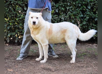 Zipper - Ein vergeudetes Leben