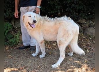 Makeen - es ist die Ohnmacht.....