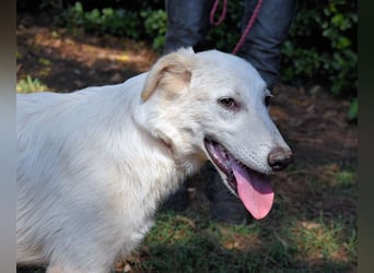 Isana - Wo ist mein neues Leben?