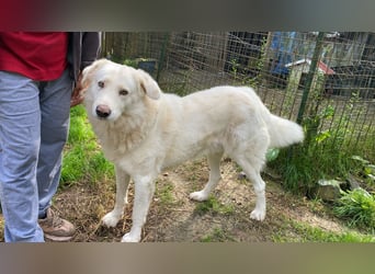 Sindbad - Zwischen Vorsicht und Vertrauen