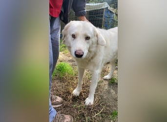 Sindbad - Zwischen Vorsicht und Vertrauen