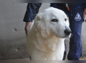 Rosvielle - Auf einer Skala von 1 bis 10....