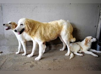 Benilda - Familiemutter in Not