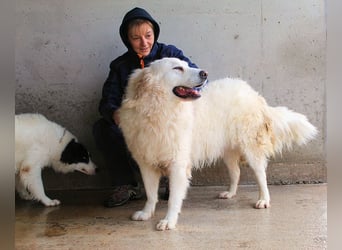 Leverett - Ich sehe was, was du (noch) nicht siehst!