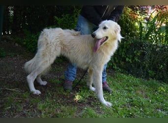 Isana - Wo ist mein neues Leben?