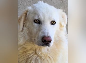 Fredrik - Für immer zusammen?