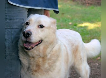 Zipper - Ein vergeudetes Leben