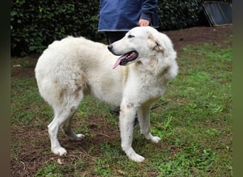 Dayton - niemals ist eine schrecklich lange Zeit