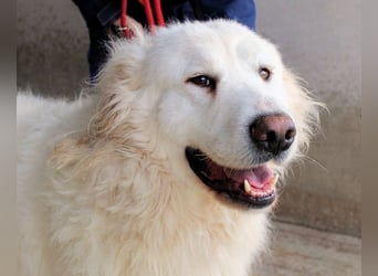 Leverett - Ich sehe was, was du (noch) nicht siehst!