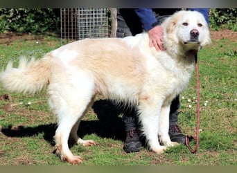 Eluard - Hoffnung auf echte Freundschaft!