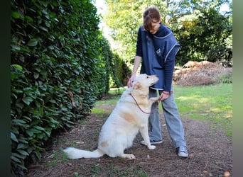 Zipper - Ein vergeudetes Leben
