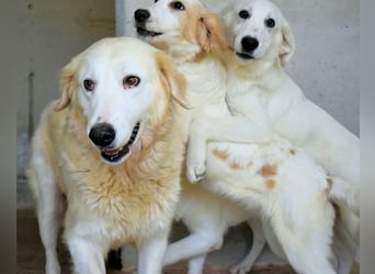 Benilda - Familiemutter in Not