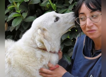 Damarius - niemals ist eine schrecklich lange Zeit