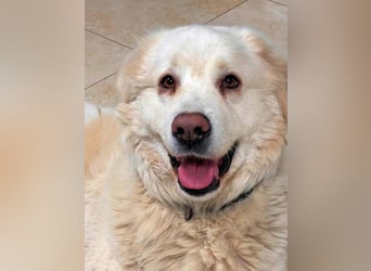 Quilmar - Was werden sie erzählen?