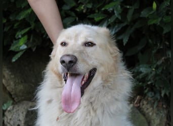 Paolo - Oh, huch, wow!!!