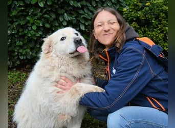 Tallulah - Grandezza auf vier Pfoten!