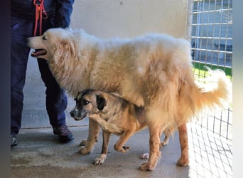 Albertone - Alles, alles Gute!!!