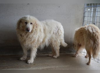 Atheron - Das Ehemaligentreffen