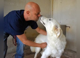 Hadrianus - weiß, es wird einmal ein Wunder gescheh'n