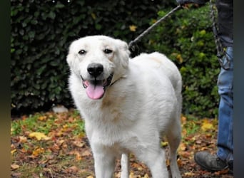 Yasmine - freundlicher Sonnenschein sucht sonniges Plätzchen