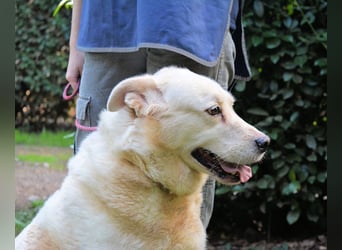 Zipper - Ein vergeudetes Leben