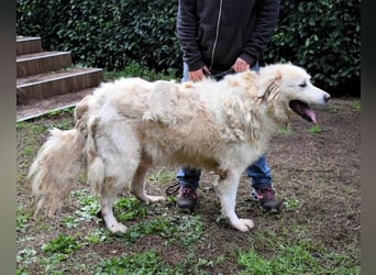 Eluard - Hoffnung auf echte Freundschaft!