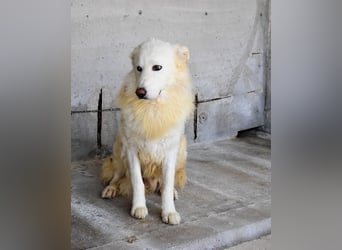 Fredrik - Was nach der Trennung kommt