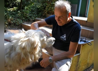 Aristodemo - nicht nur Schall und Rauch