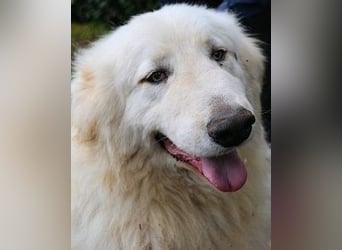 Hadriano - Viel mehr als nur einer unter vielen!