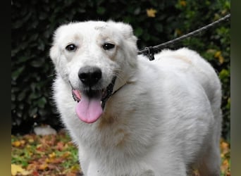 Yasmine - freundlicher Sonnenschein sucht sonniges Plätzchen