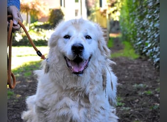 Apolonio - möchte für seine Menschen ein Fels in der Brandung sein