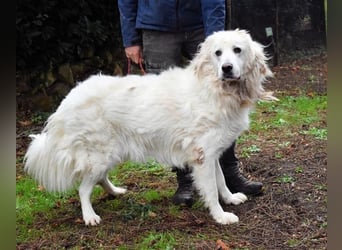 Aristodemo - nicht nur Schall und Rauch