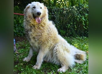 Filomela - Vom Sorgenkind zum Sonnenschein