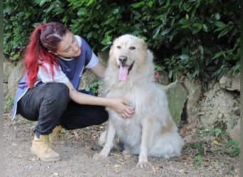 Paolo - Oh, huch, wow!!!