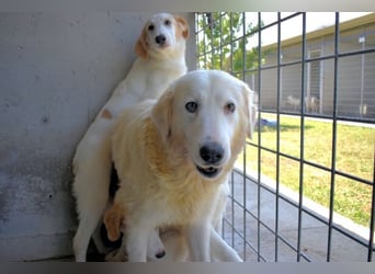 Benilda - Familiemutter in Not