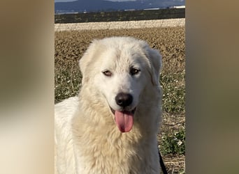 Madea - in ihrer ganzen Schönheit