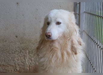 Fredrik - Was nach der Trennung kommt