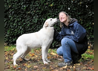 Yasmine - freundlicher Sonnenschein sucht sonniges Plätzchen