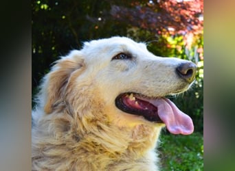 Filomela - Vom Sorgenkind zum Sonnenschein