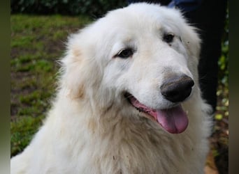 Hadriano - Viel mehr als nur einer unter vielen!