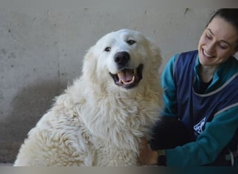 Leverett - Ich sehe was, was du (noch) nicht siehst!