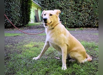 Antiloco - Nur ein Wunsch: endlich nach Hause!