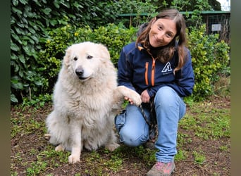 Tallulah - Grandezza auf vier Pfoten!