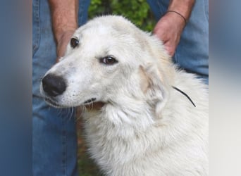 Yasmine - freundlicher Sonnenschein sucht sonniges Plätzchen