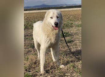 Madea - in ihrer ganzen Schönheit