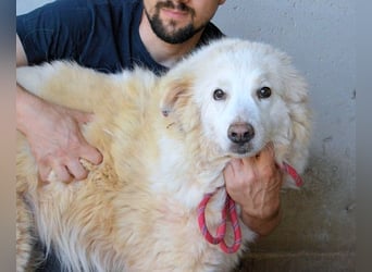 Olivielle- Junge Dame im Bärenmantel