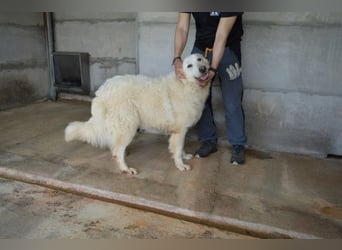 Quebry - Es ist, was es ist...