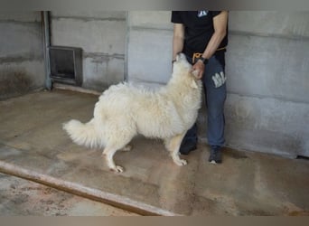 Quebry - Es ist, was es ist...