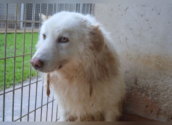 Fredrik - Was nach der Trennung kommt