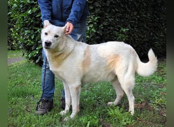 Zipper - Ein vergeudetes Leben